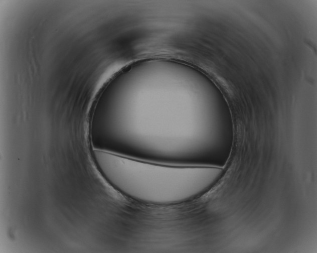 X0000093431424200710120908