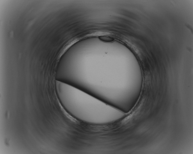 X0000093431425200710120908
