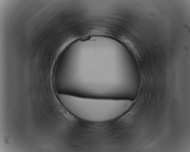 X0000093431427200710120908