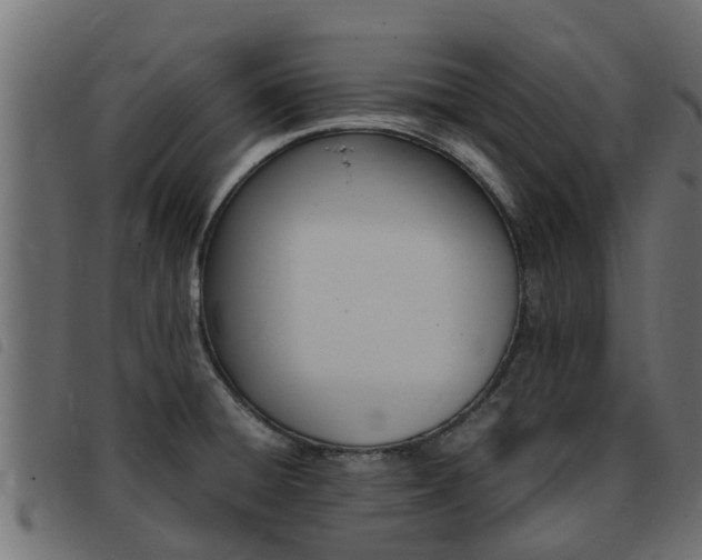 X0000093431428200710120908