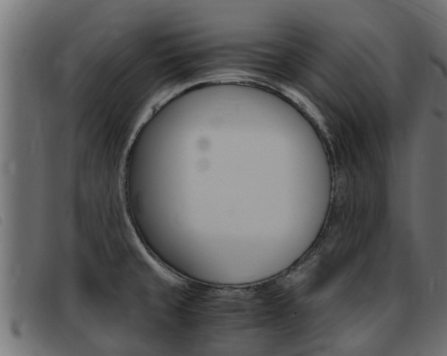 X0000093431429200710120908