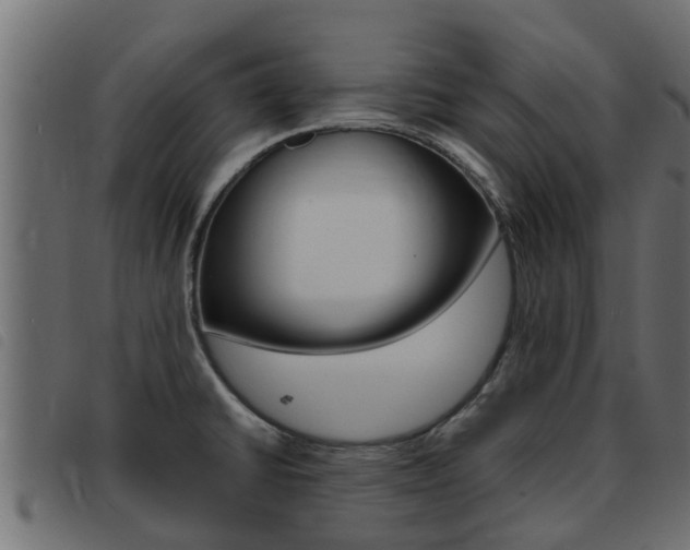 X0000093431430200710120908