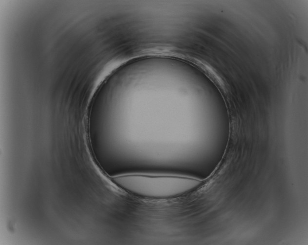 X0000093431432200710120908