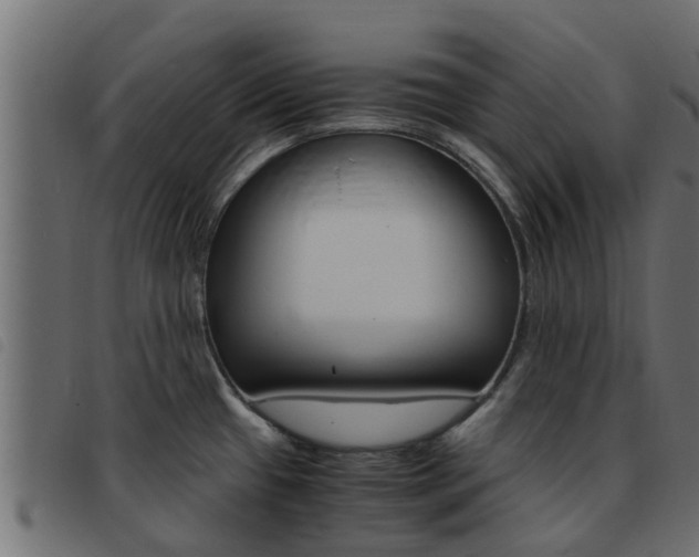 X0000093431433200710120908