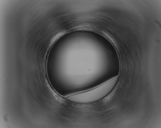 X0000093431434200710120908