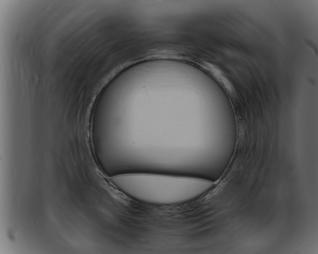 X0000093431435200710120908
