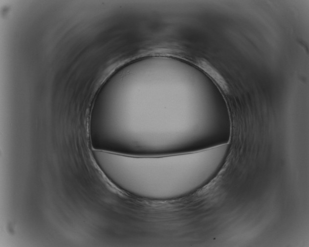 X0000093431436200710120908