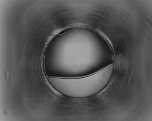X0000093431437200710120908