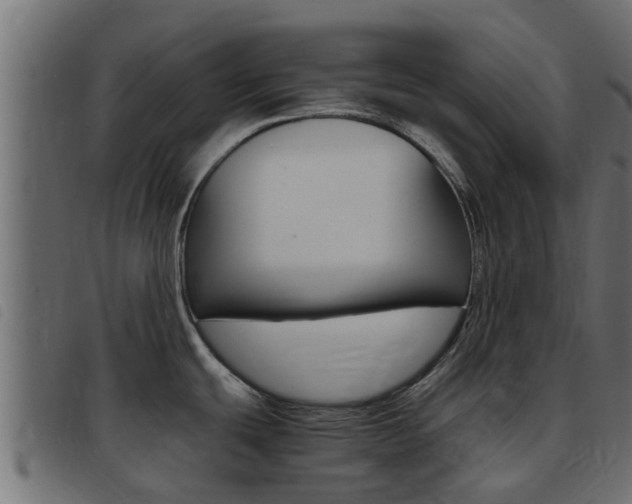 X0000093431439200710120908