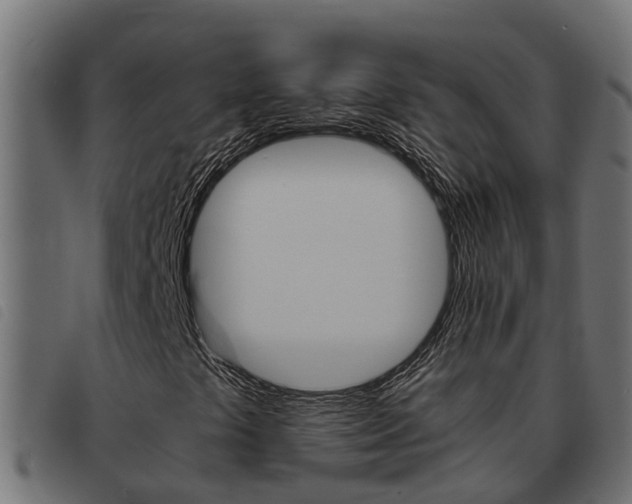 X0000093431441200710120908