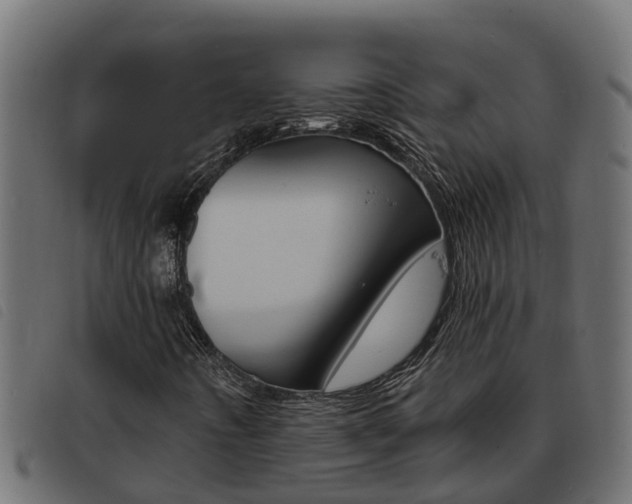 X0000093431442200710120908