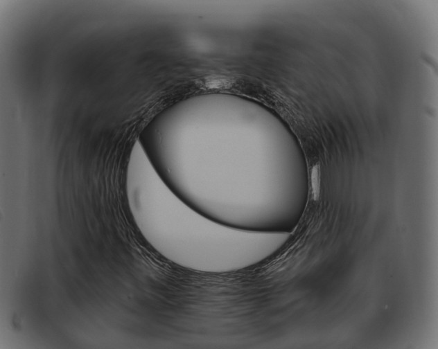 X0000093431443200710120908