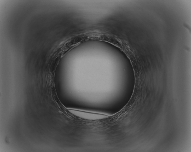 X0000093431445200710120908