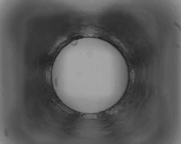 X0000093431446200710120908