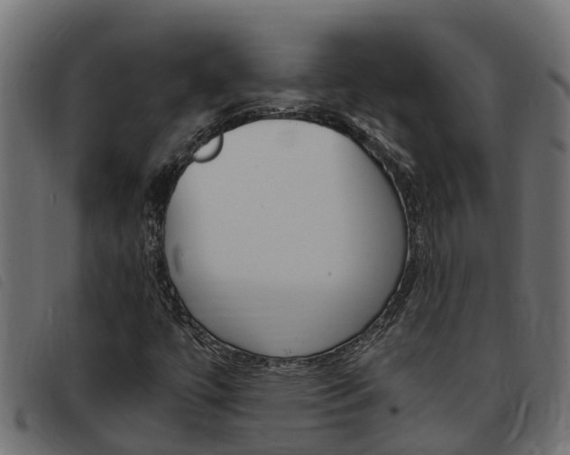 X0000093431447200710120908