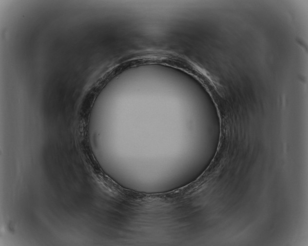 X0000093431448200710120907