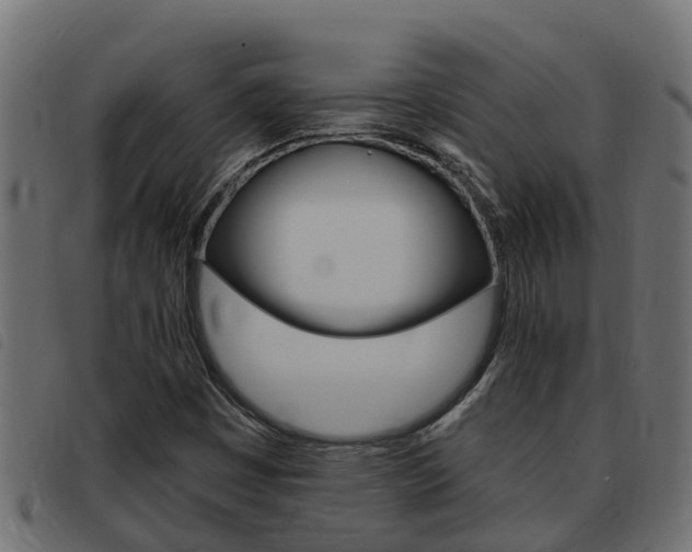 X0000093431449200710120907