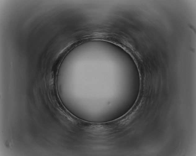 X0000093431450200710120907