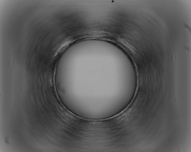 X0000093431451200710120907