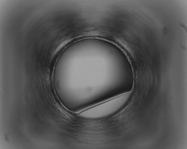 X0000093431452200710120907