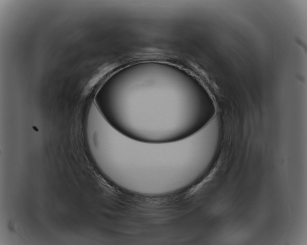 X0000093431453200710120907