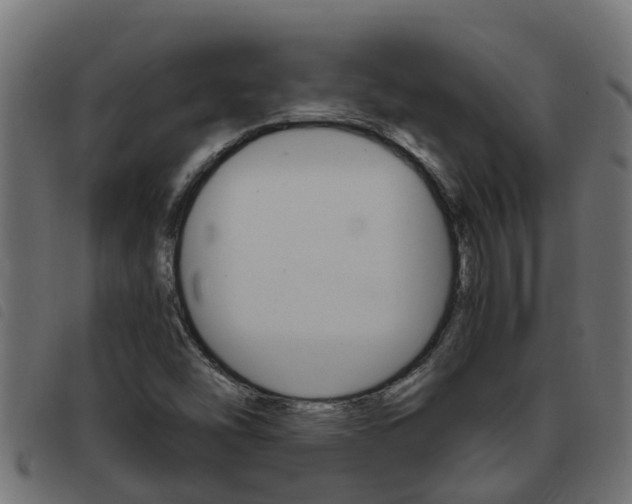 X0000093431454200710120907