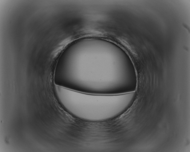X0000093431455200710120907