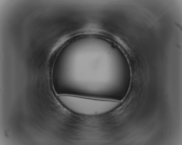 X0000093431456200710120907