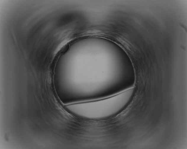 X0000093431458200710120907