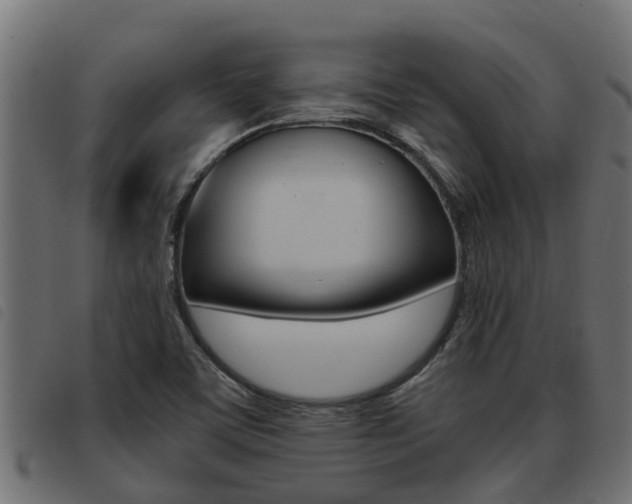 X0000093431459200710120907