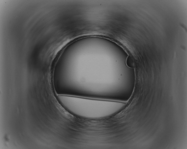 X0000093431460200710120907