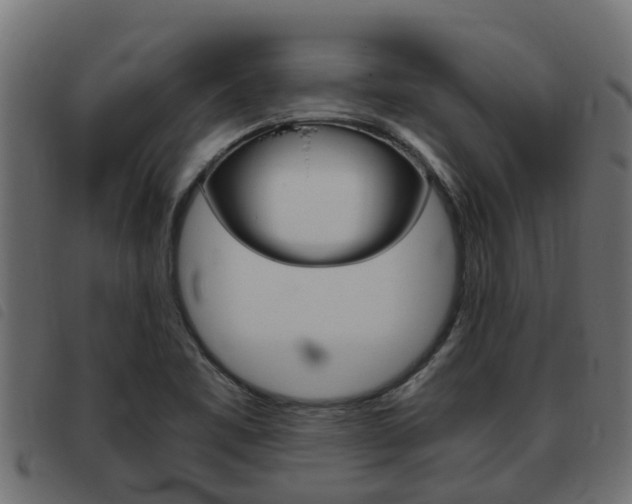 X0000093431461200710120907