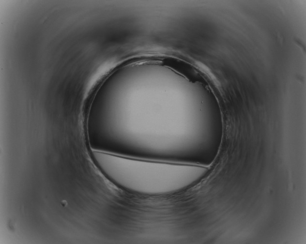 X0000093431464200710120907