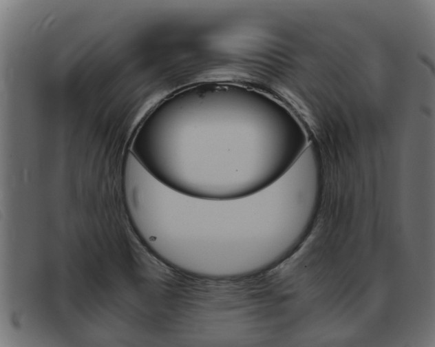 X0000093431465200710120907