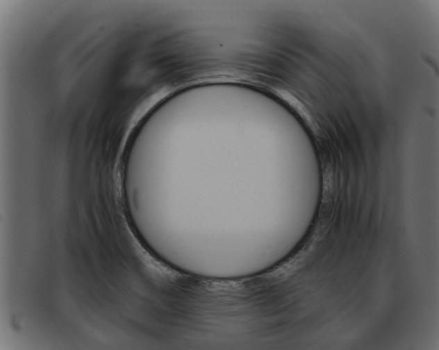 X0000093431466200710120907