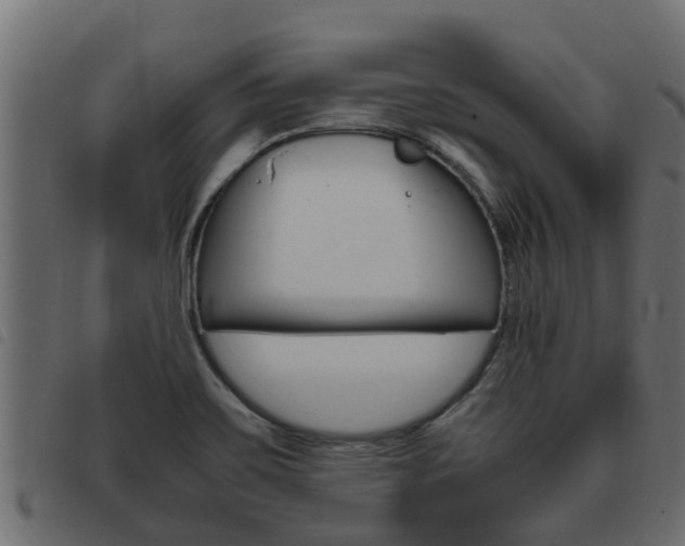 X0000093431467200710120907