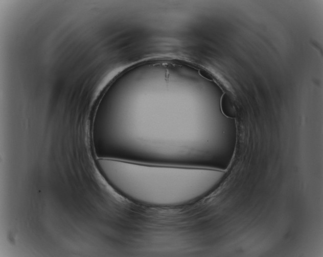 X0000093431468200710120907