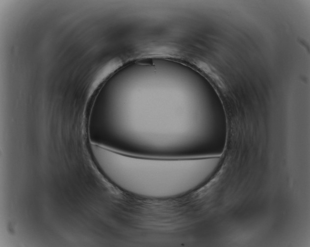X0000093431469200710120907