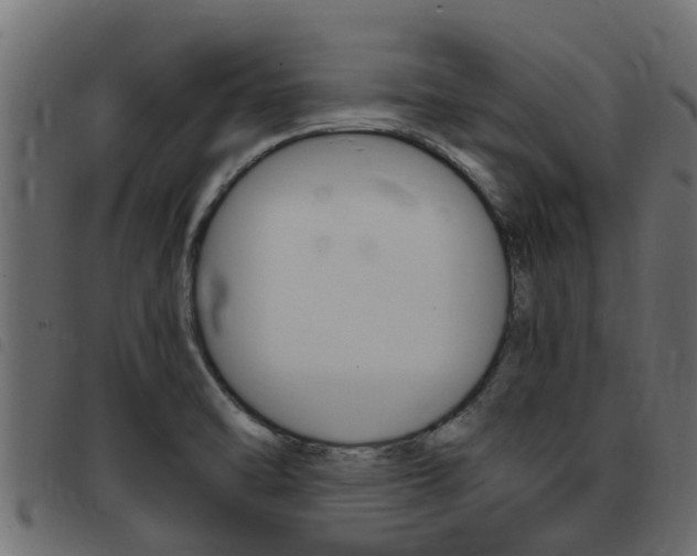 X0000093431470200710120907