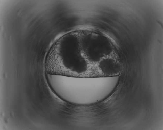 X0000093431471200710120907
