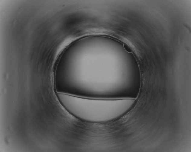 X0000093431472200710120907