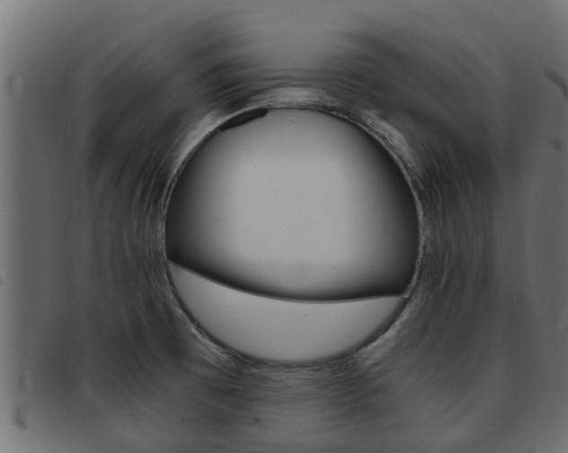 X0000093431473200710120907