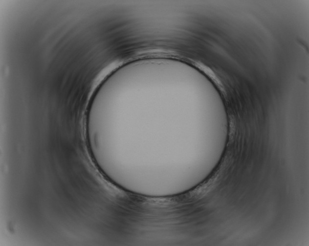 X0000093431474200710120907