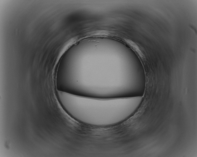 X0000093431475200710120907