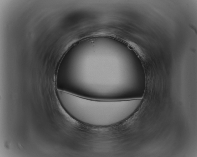 X0000093431476200710120907