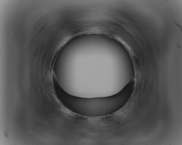 X0000093431477200710120907