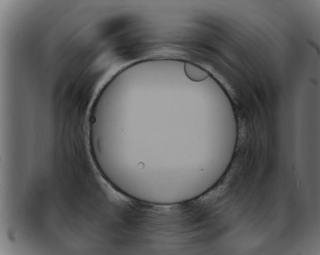 X0000093431478200710120907