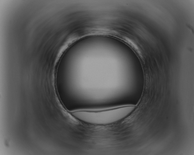 X0000093431480200710120907