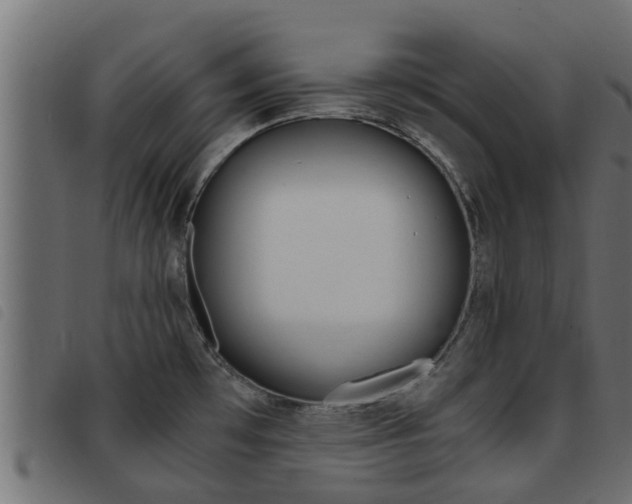 X0000093431481200710120907