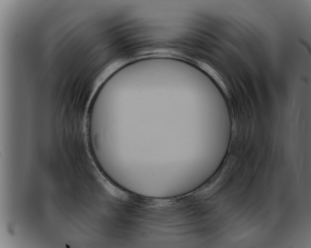 X0000093431482200710120907